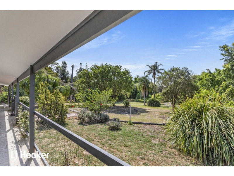 294 Marsh Road, Bobs Farm NSW 2316