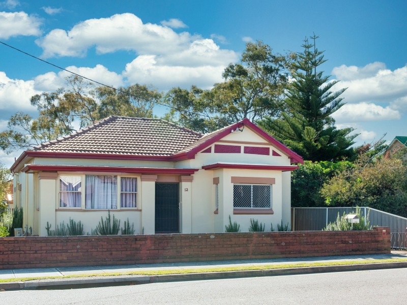 12 Sunderland Street, Mayfield NSW 2304