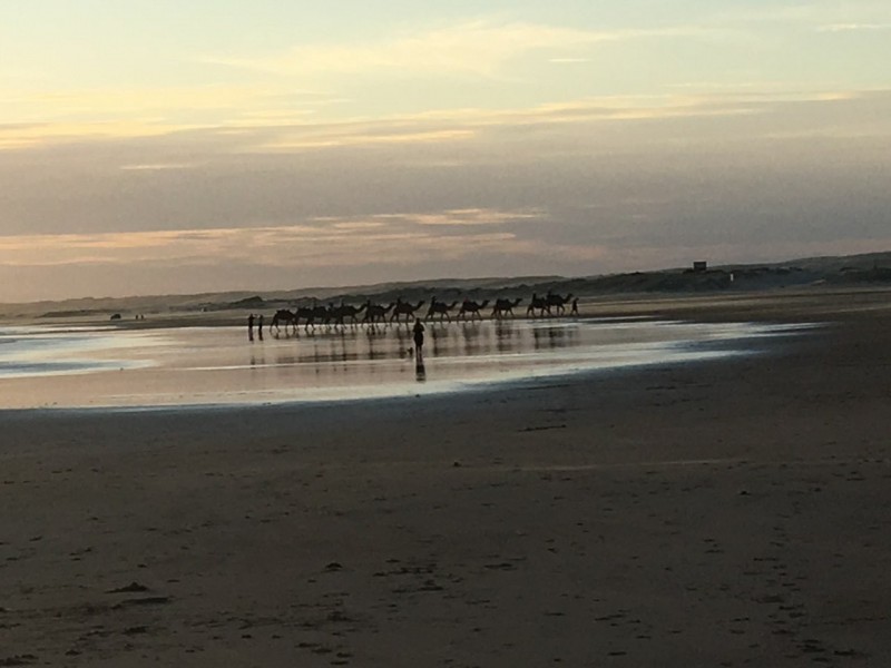 12 Cromarty Crescent, Anna Bay NSW 2316