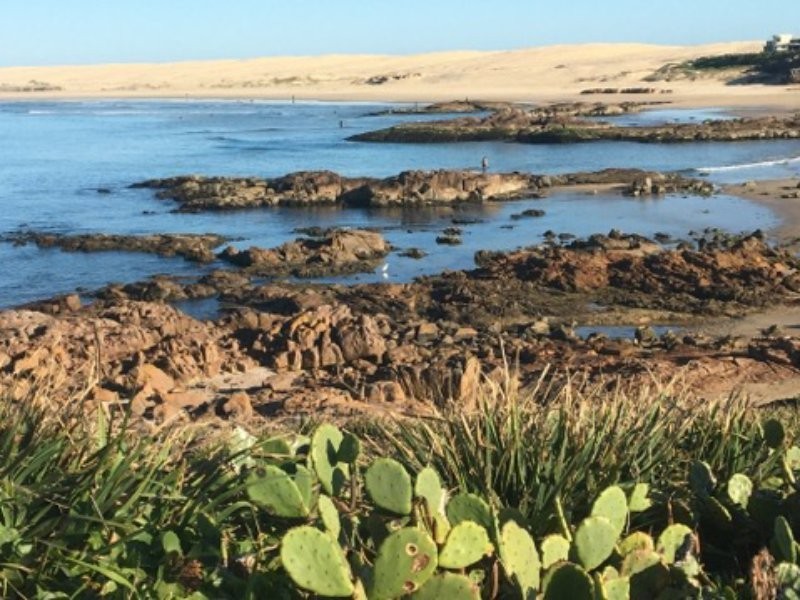 12 Cromarty Crescent, Anna Bay NSW 2316