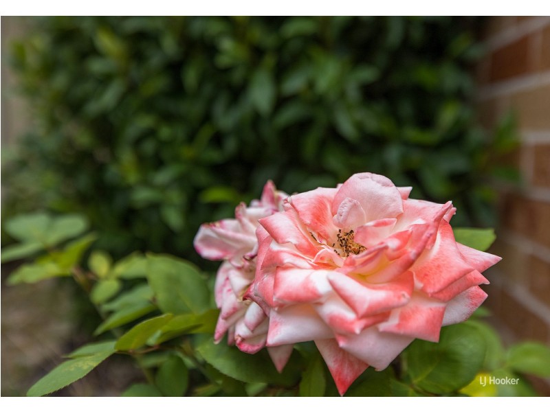 2/6 The Maindeck, Corlette NSW 2315