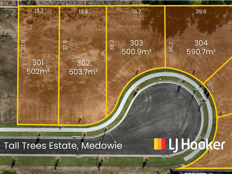 Lot Lots 302-306/799 Medowie Road, Medowie NSW 2318