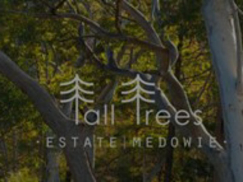 Lot Lots 302-306/799 Medowie Road, Medowie NSW 2318