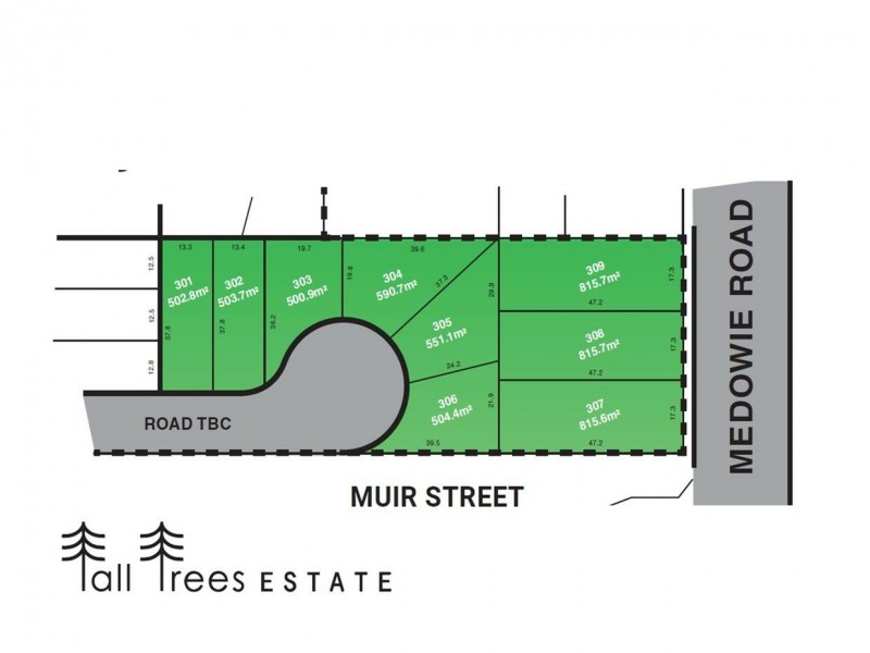 Lot Lots 302-306/799 Medowie Road, Medowie NSW 2318