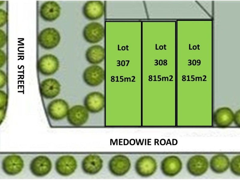 Lot 307 Lot 124/799 Medowie Road, Medowie NSW 2318