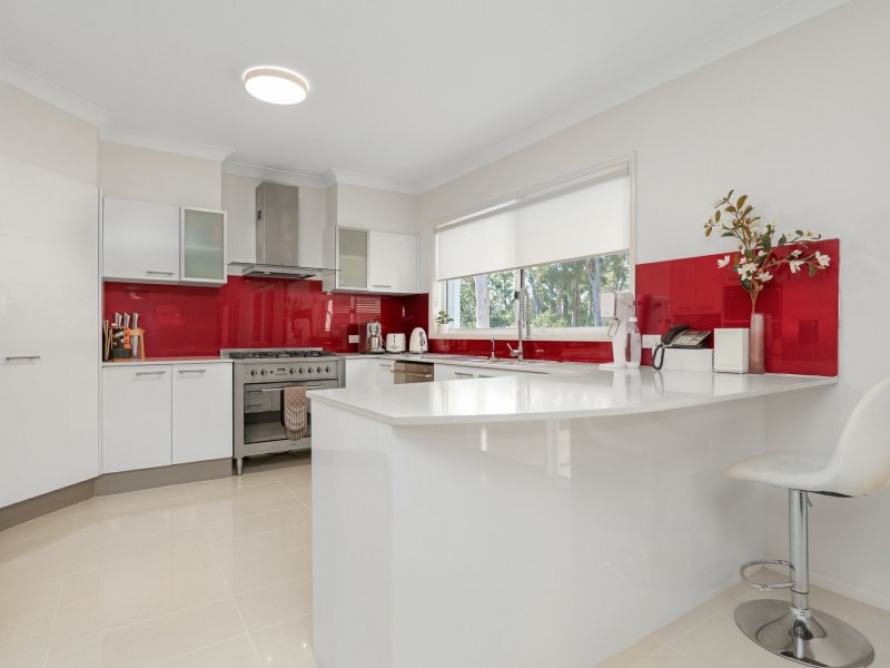 58 Sassin Crescent, Medowie NSW 2318