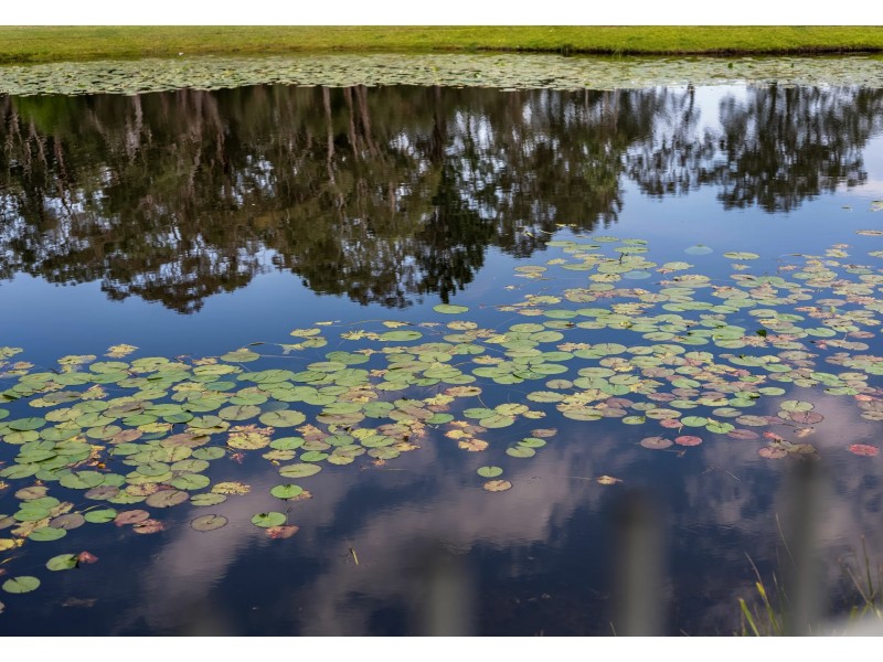 36 Turnberry Lane, Medowie NSW 2318