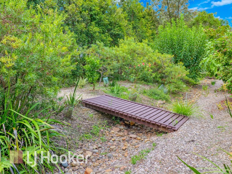 37 Sunningdale Circuit, Medowie NSW 2318