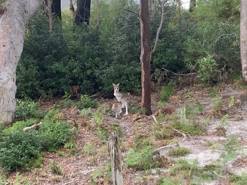 Unit 77/1A Tomaree Street, Nelson Bay NSW 2315