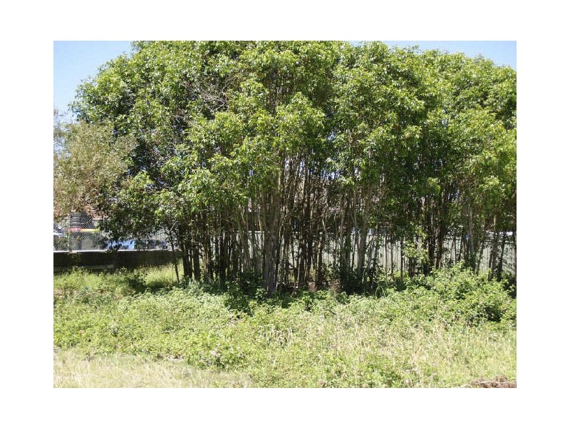 10 Randall Drive, Salamander Bay NSW 2317