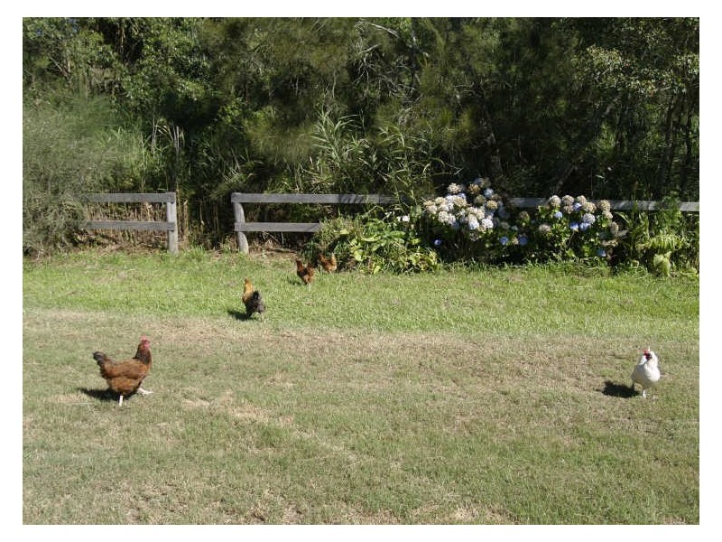 3465 Nelson Bay Road, Bobs Farm NSW 2316