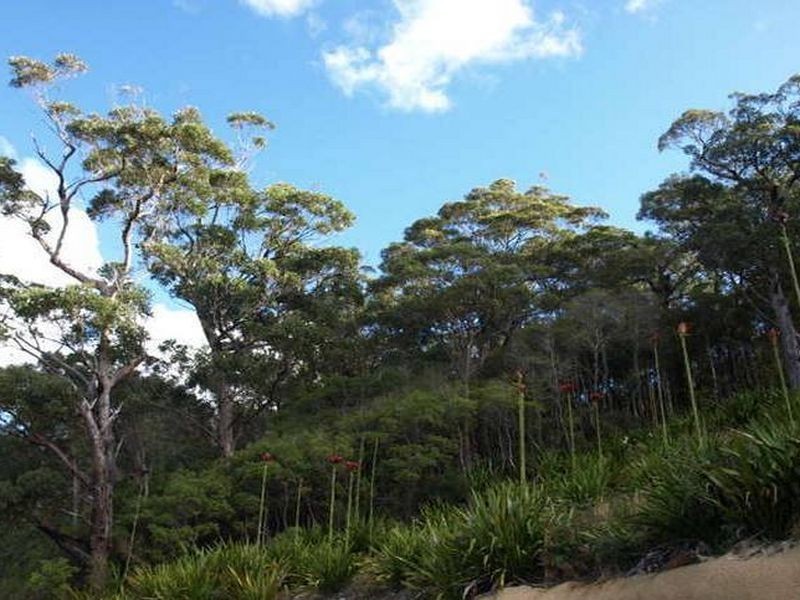 7 Tareebin Road, Nelson Bay NSW 2315