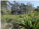 7 Tareebin Road, Nelson Bay NSW 2315
