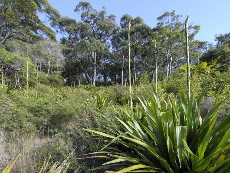 7 Tareebin Road, Nelson Bay NSW 2315