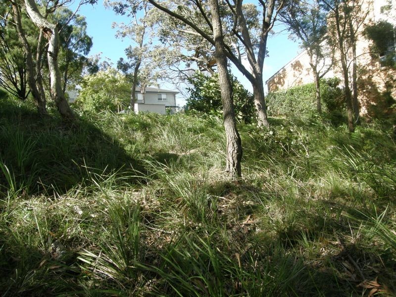 Salamander Bay NSW 2317