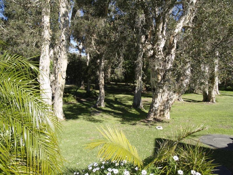 13 Casuarina Close, One Mile NSW 2316