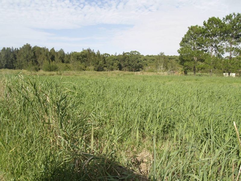 222 Marsh Road, Bobs Farm NSW 2316