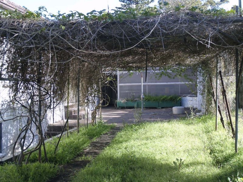 143 Old Main Road, Anna Bay NSW 2316