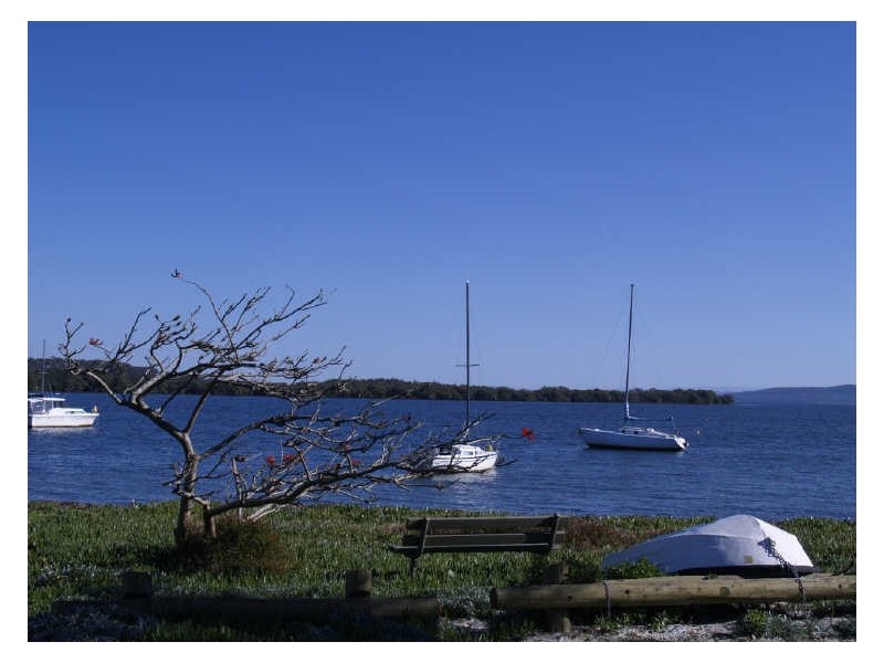 36 Albert Street, Taylors Beach NSW 2316