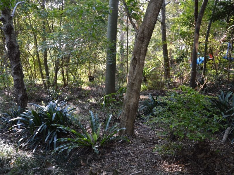 42 Tallean Road, Nelson Bay NSW 2315