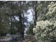 48 Thurlow Ave, Nelson Bay NSW 2315