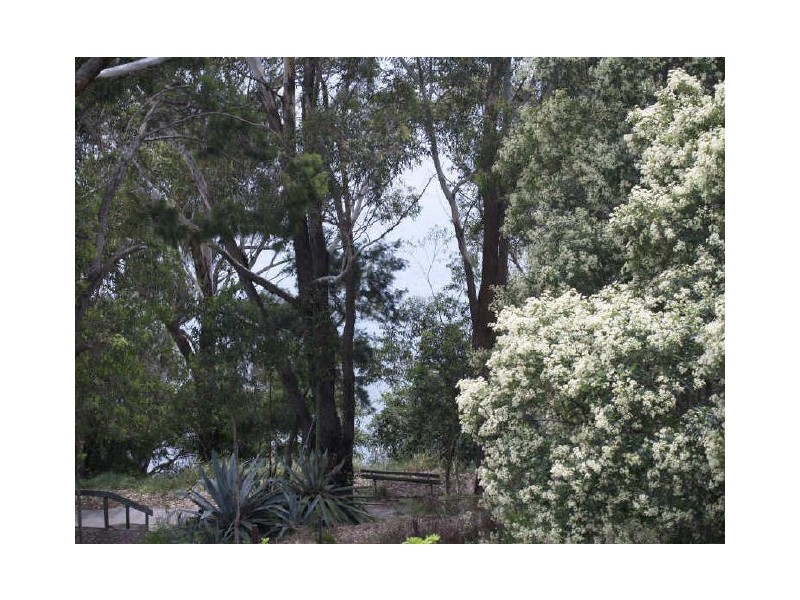 48 Thurlow Ave, Nelson Bay NSW 2315