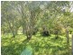4473 Nelson Bay Road, Anna Bay NSW 2316