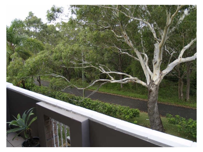 5/2 Ondine Close, Nelson Bay NSW 2315