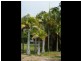 3914 Nelson Bay Road, Bobs Farm NSW 2316