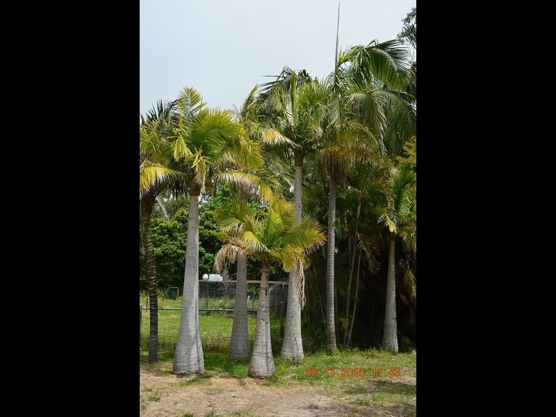 3914 Nelson Bay Road, Bobs Farm NSW 2316