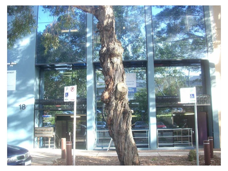 2A/18 Gibb Street, Miranda NSW 2228