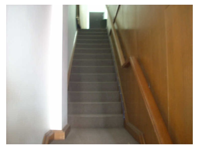 Level 1/551 Kingsway, Miranda NSW 2228