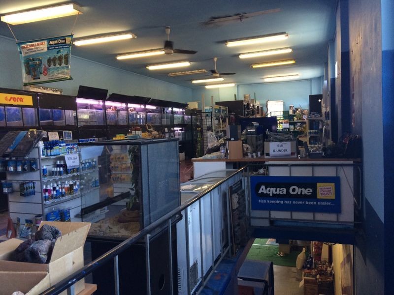 4A Boyle Street, Sutherland NSW 2232