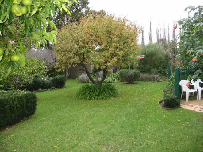 14 Iluka Street, Safety Beach VIC 3936