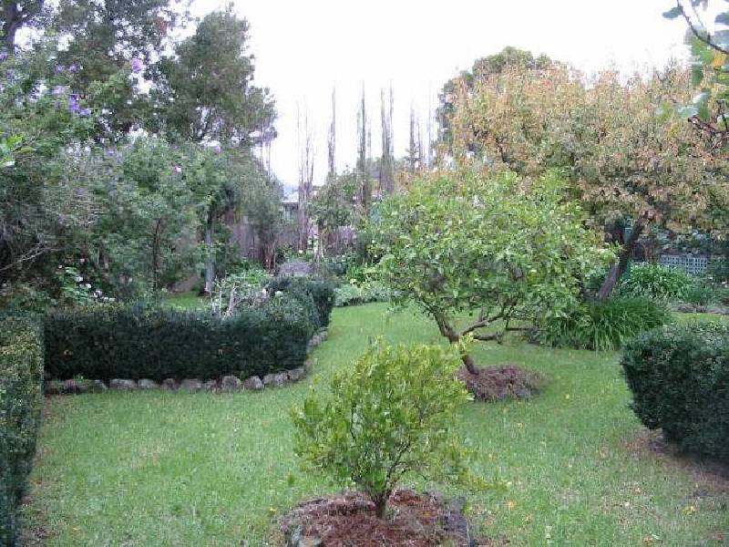 14 Iluka Street, Safety Beach VIC 3936