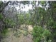 41 Alex Drive, St Andrews Beach VIC 3941