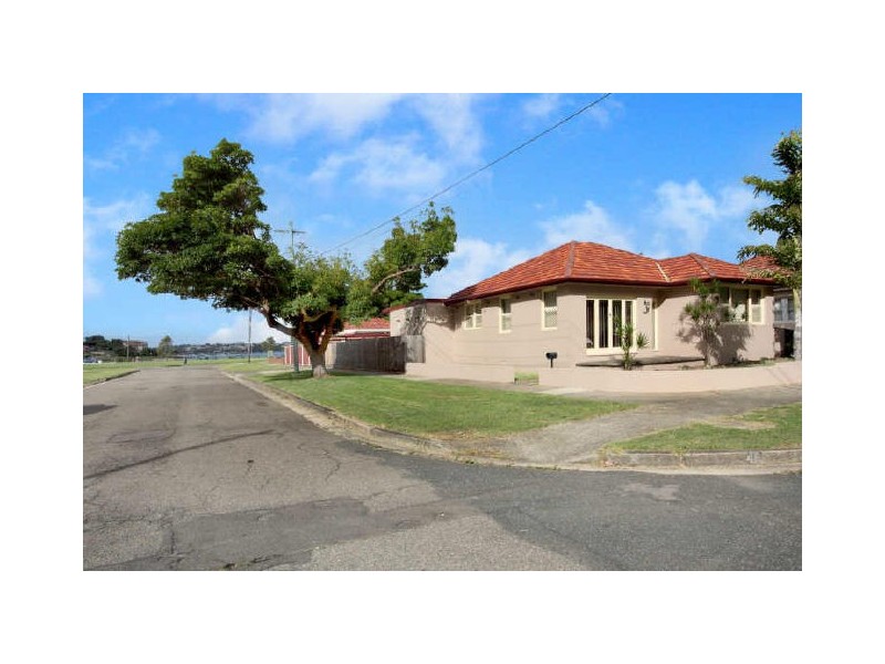 46 Princess Avenue, Rodd Point NSW 2046