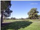 11 Curtin Avenue, Abbotsford NSW 2046
