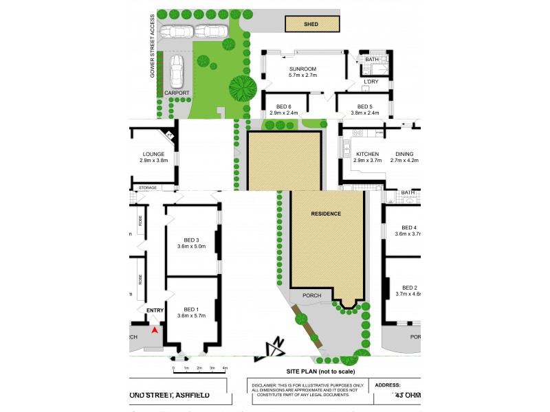 43 Ormond Street, Ashfield NSW 2131 Floorplan