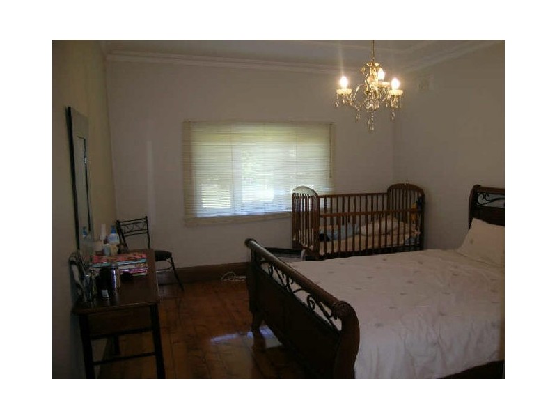 16A Lucy Street, Ashfield NSW 2131