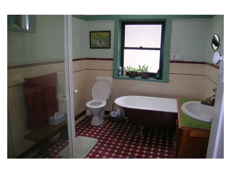 4 Earle Street, Ashfield NSW 2131