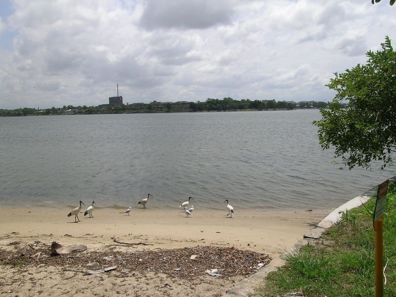 24 Wymston Parade, Five Dock NSW 2046