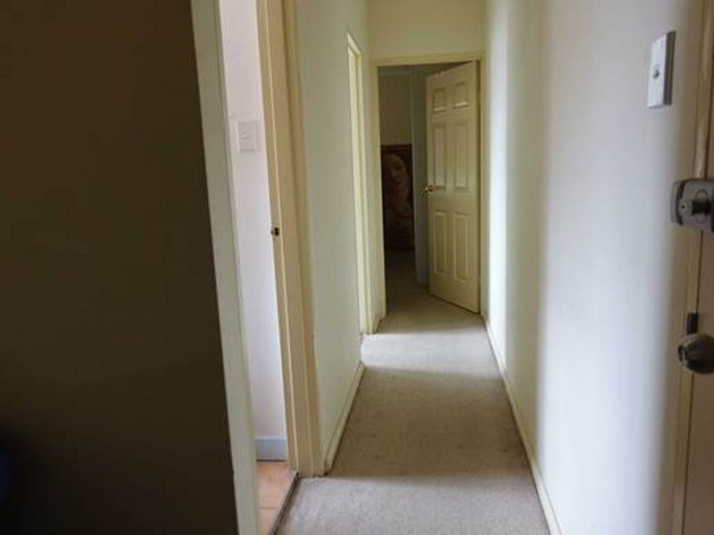 5/97 Milton Street, Ashfield NSW 2131