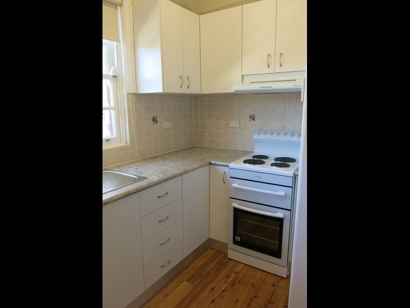 17 Burns Street, Croydon NSW 2132