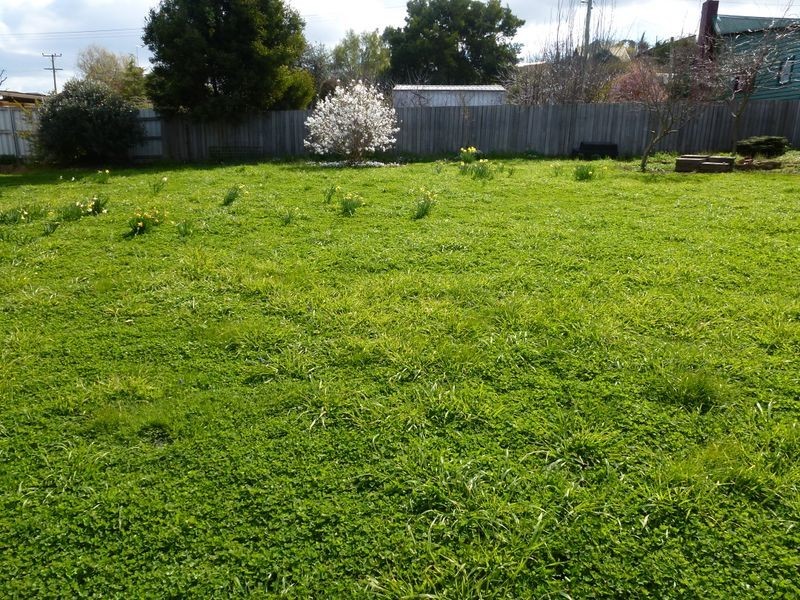 53A West Barrack Street, Deloraine TAS 7304