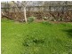 53A West Barrack Street, Deloraine TAS 7304