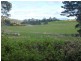 40 Quamby Brook Road, Deloraine TAS 7304