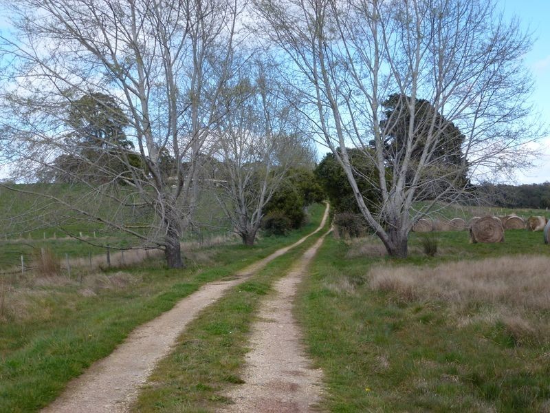 40 Quamby Brook Road, Deloraine TAS 7304