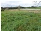 40 Quamby Brook Road, Deloraine TAS 7304