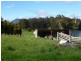 40 Quamby Brook Road, Deloraine TAS 7304